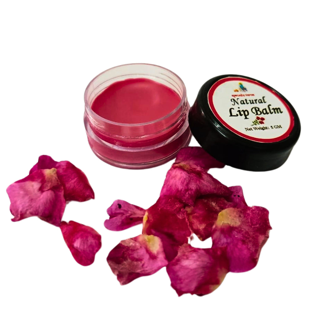 KRUSHNAJYOT Lip Balm Rose Flavour, Body Lotion, Made By Natural Ingredients, No Artificial Chemical, Paraben Free, Sulphate Free, Pack of 5 gm