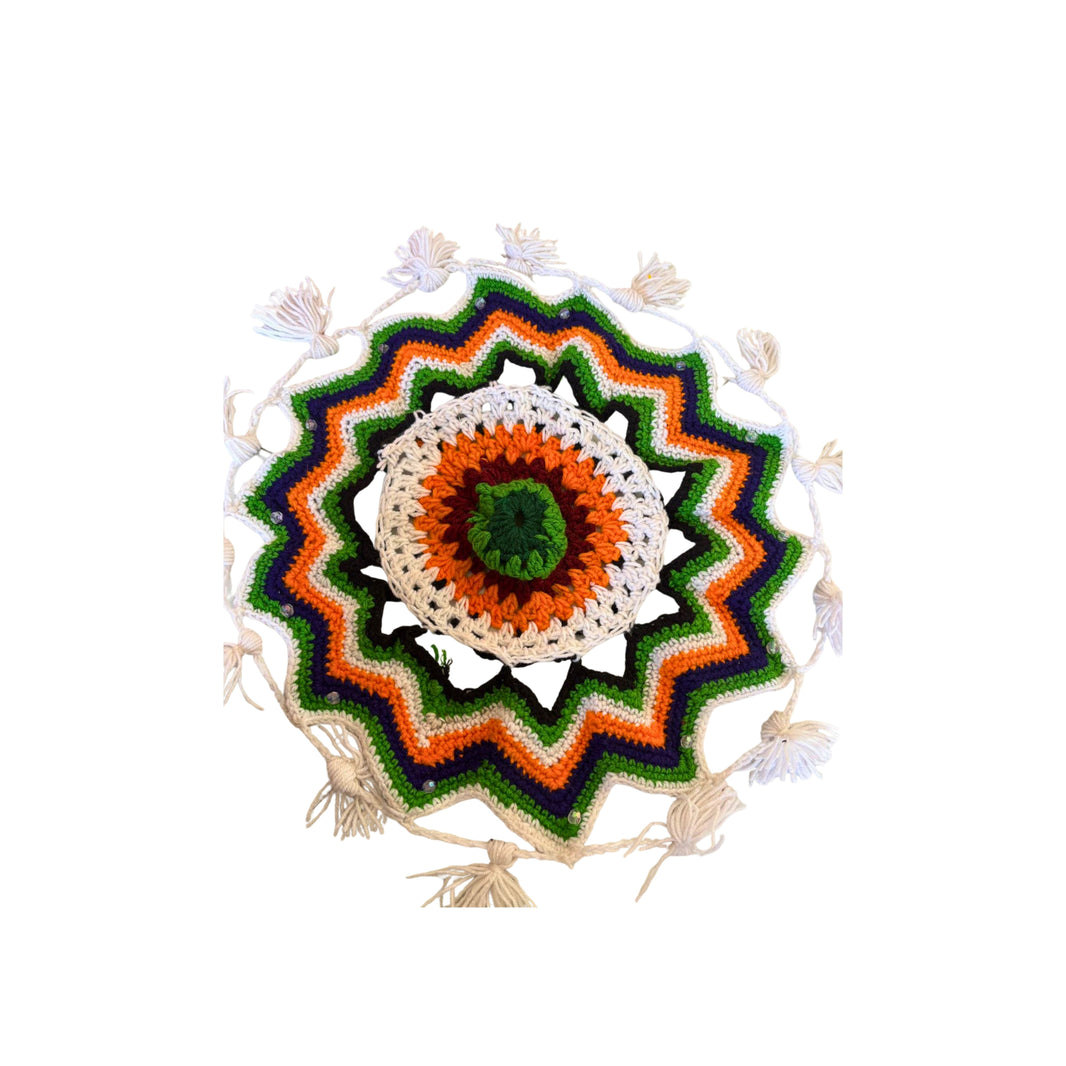 JANAI HASTKALA Lid On Plate Pack Of 1 Piece Handcrafted Decorative Serving Item Traditional Artistic Utility