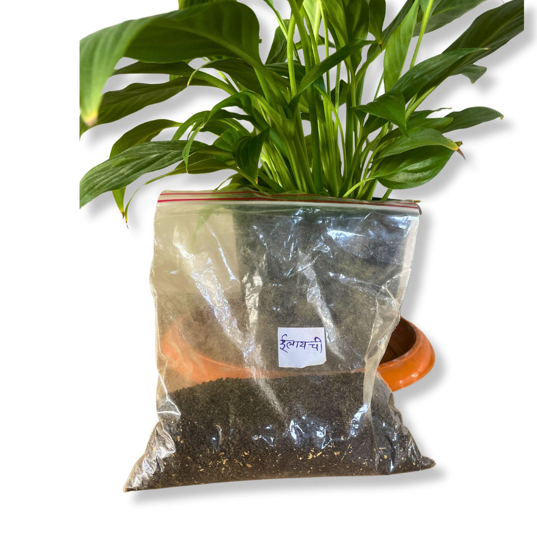 Tea-Powder, Cardamom (Elaichi) Natural Flavoured