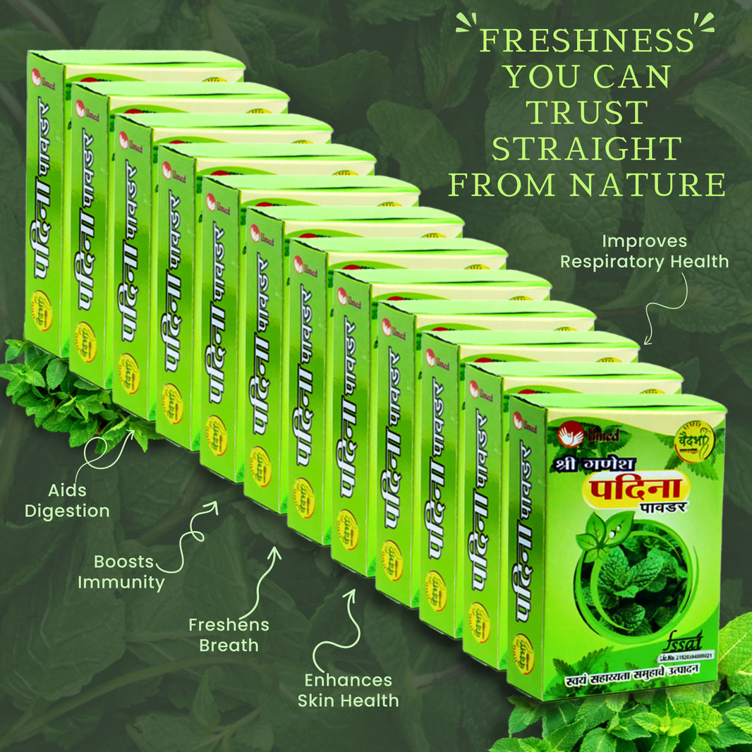 SHRI GANESH Pudina Powder, Pack of 12, Kumkum SHG, Made By Natural Ingredients, No Artificial Chemical, Pack of 40 gm