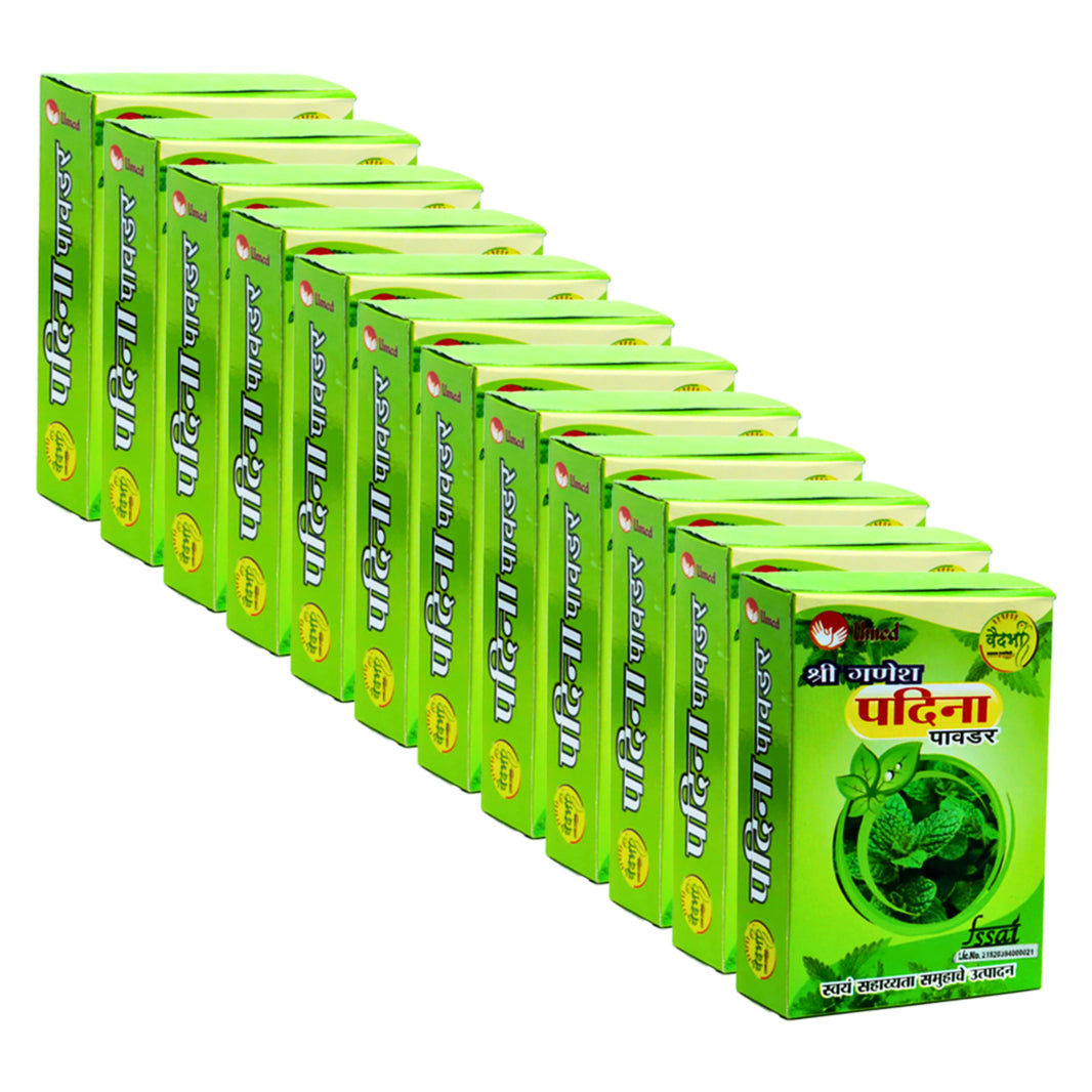 SHRI GANESH Pudina Powder, Pack of 12, Kumkum SHG, Made By Natural Ingredients, No Artificial Chemical, Pack of 40 gm
