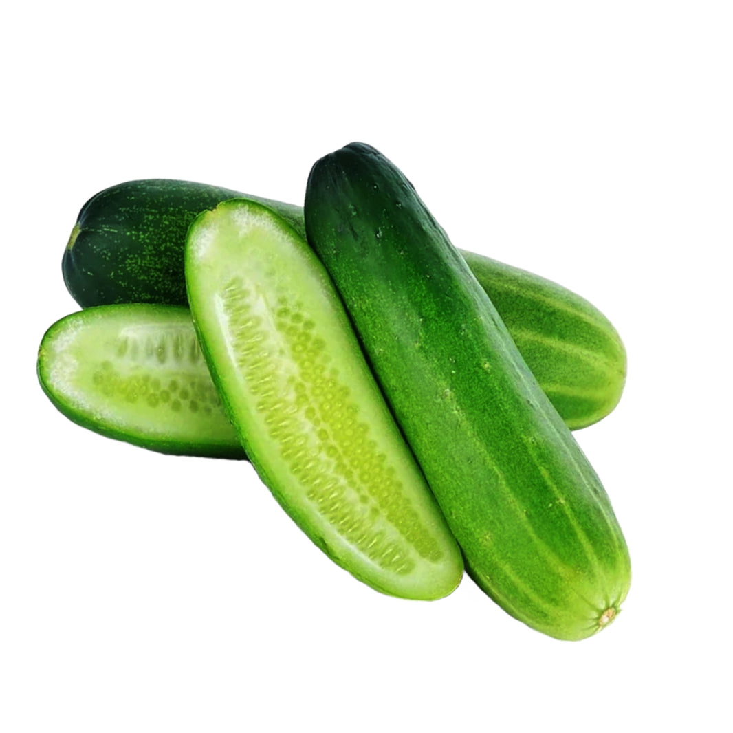 Fresh 100% Natural Cucumber Crisp, juicy, and healthy (Kheera/Kakadi) – 2kg | Roshani SHG