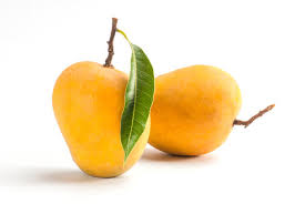Premium grade, Mango Alphonso A1, Juicy, Natural Ingredients by KOKANKANYA FPO
