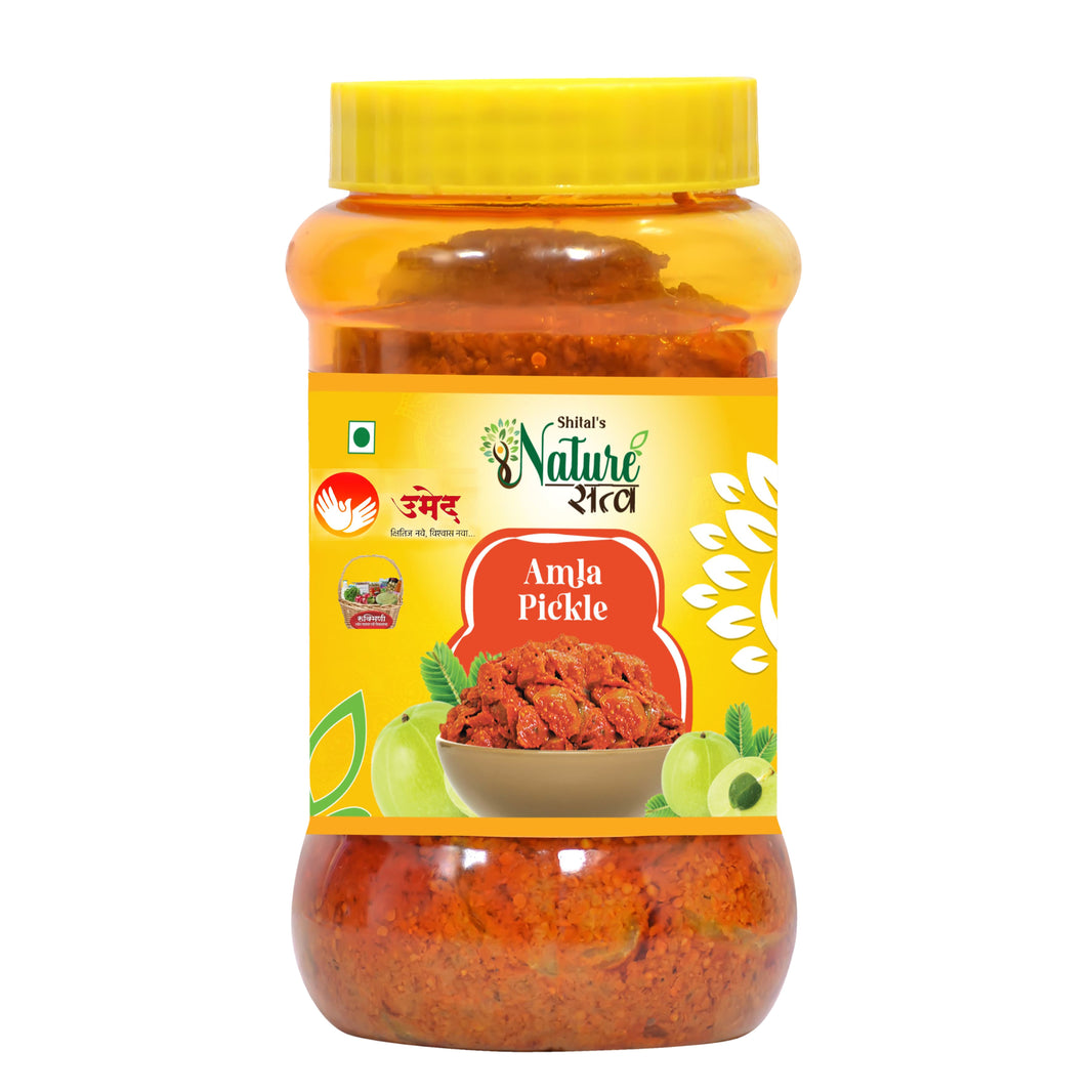 NATURE SATVA Amla Pickle Pack of 500 gm Sweet Tangy Traditional Fruit Condiment Rich Vitamin C Digestive Support