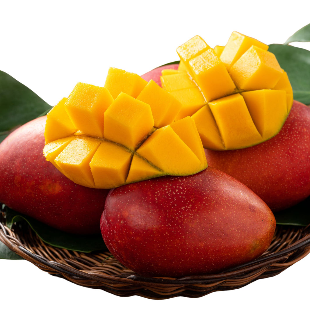 KOKANKANYA Mango Pulp, Fleshy Pulp, Natural Ingredients, No Artificial Essence, Pack of 500 gms