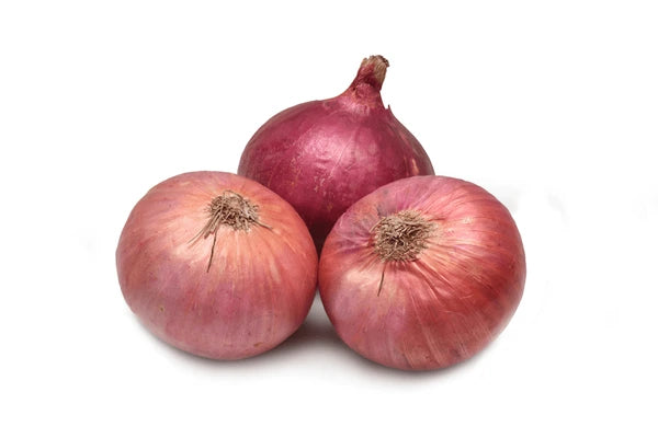 Premium grade Onion,Naturally Grown, Shivkanta