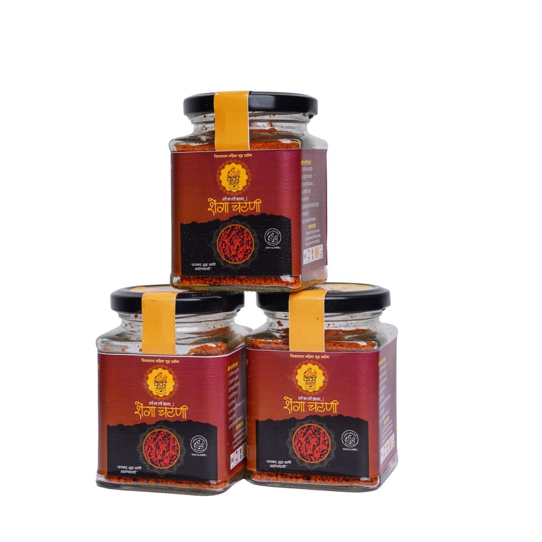 VAVAR Shenga Chatni – 100% Pure Authentic Peanut Chutney No Chemicals or No Artificial Flavors 100g