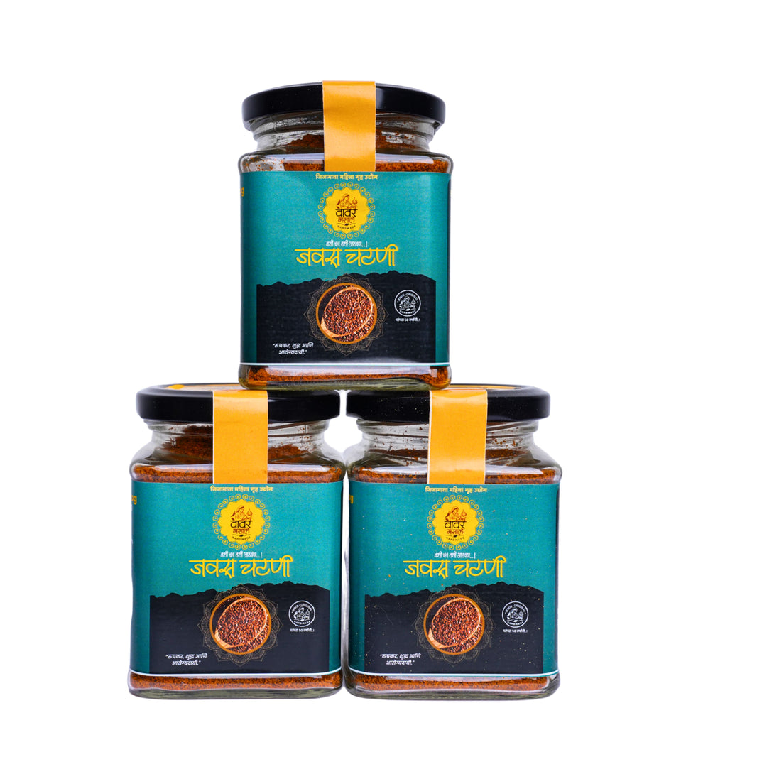VAVAR Javas Chatni – Authentic Flaxseed Peanut Chutney | No Artificial Colors or No Artificial Flavors | 100g
