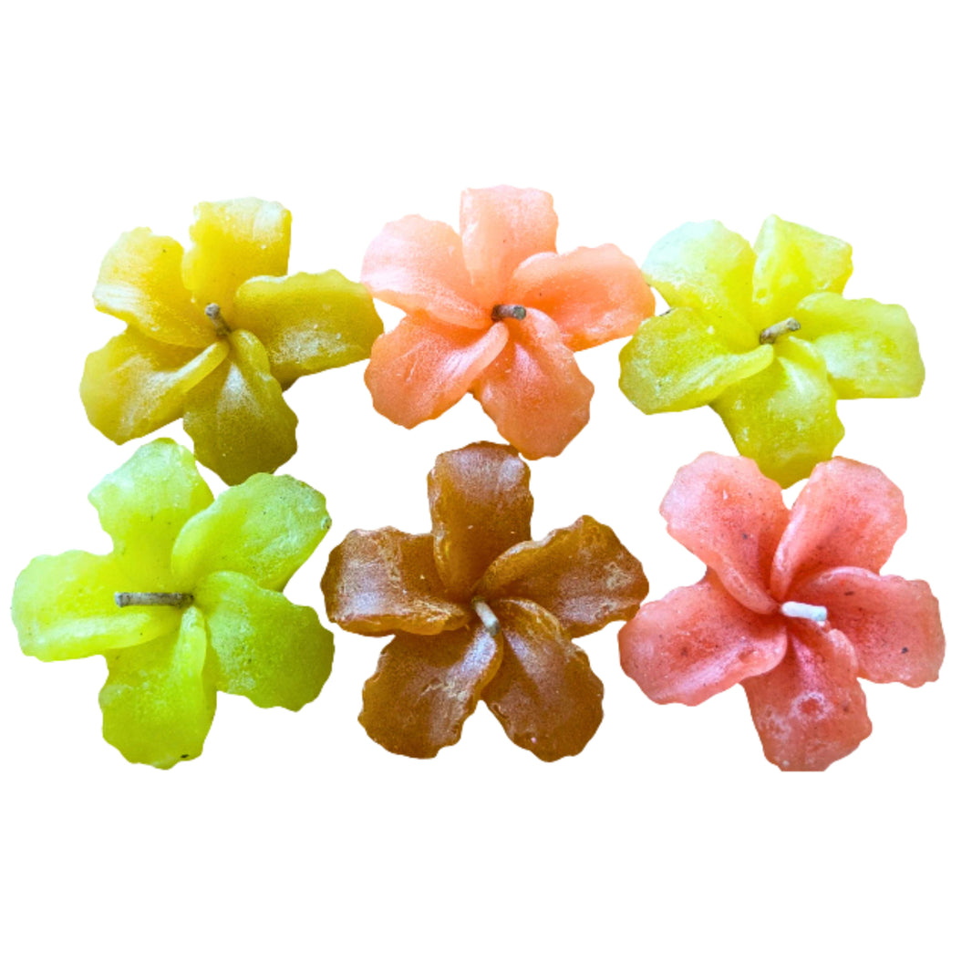 Mauli Mahila SHG, Colorful Floral Scented Wax Candles, Pack Of 6,