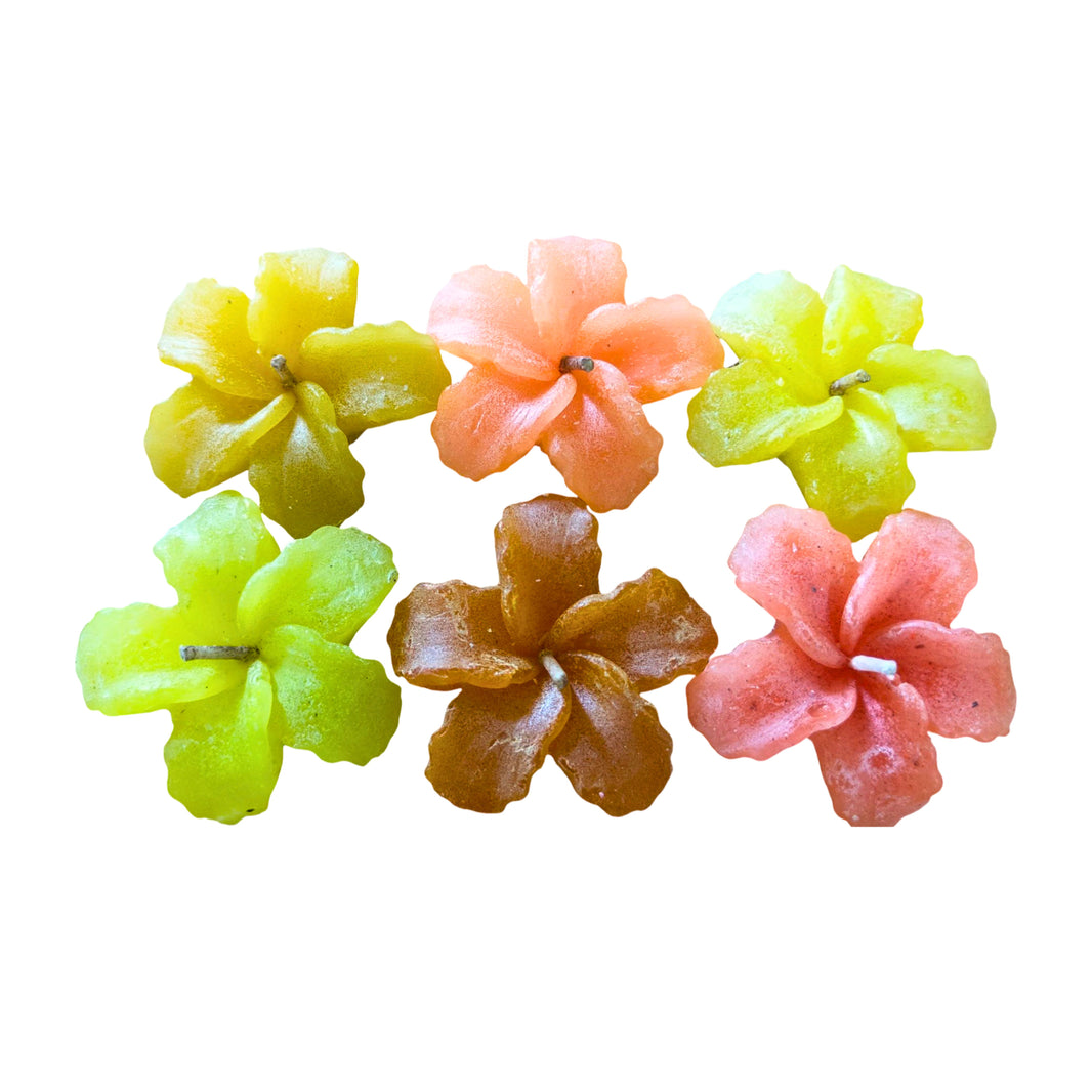 Mauli Mahila SHG, Colorful Floral Scented Wax Candles, Pack Of 6,