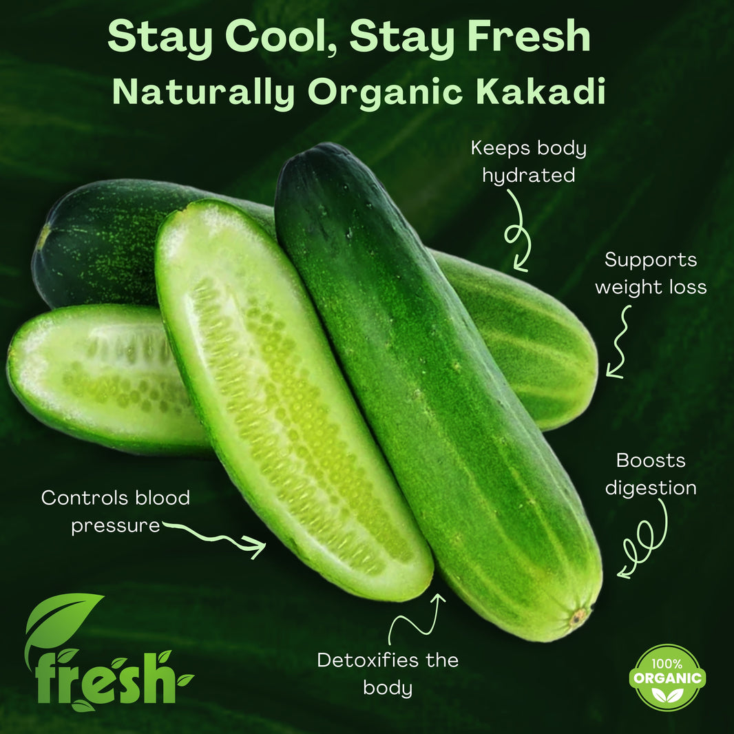 Fresh 100% Organic Cucumber Crisp, juicy, and healthy (Kheera/Kakadi) – 2kg | Roshani SHG