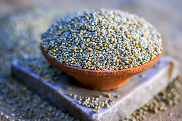 Premium Bajra (Pearl Millet) Mahalaxmi Variety - A Grade