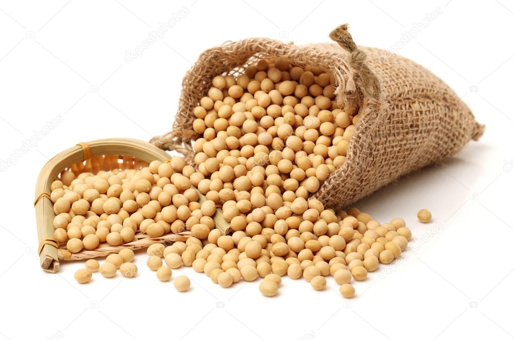 Premium grade Soyabeen made from desi soya (335), Narishakti