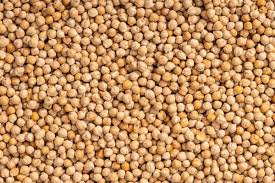 Premium grade Harbara Dal made from desi Harbara Vishal, Yashahvi