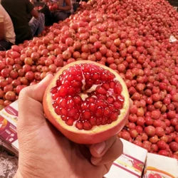 SHIVSWARAJYA PANDHARPUR FPC Premium Fresh Pomegranate Farm Direct B2B Bulk Supply Export Quality Naturally Grown 34 Kg Pack Of 1