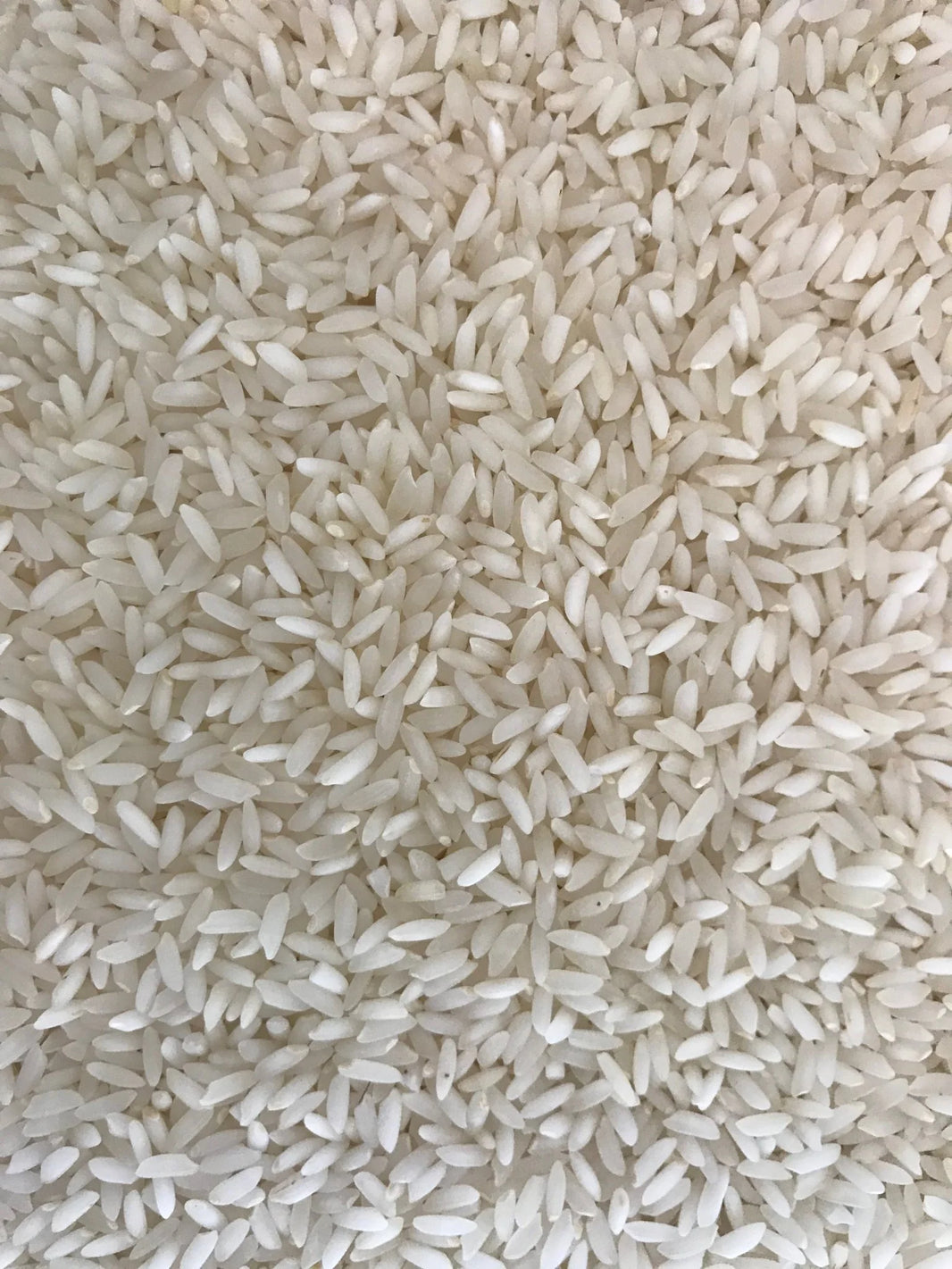 Premium Quality Non Basmati Rice B2B Bulk Supply Food Grade Clean Grains for Hotels Retailers Distributors Caterers 2000 Kg